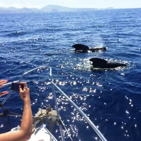 شقة Mb Tenerife Ocean View Costa Adeje أذيخي